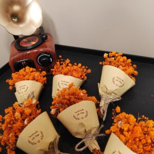 Luxury Star Decor Set (6-Piece)