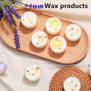 Luxury Mini Soy Wax Scented Candles (12-Piece Set)